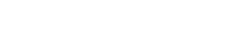 Meta Business Partner